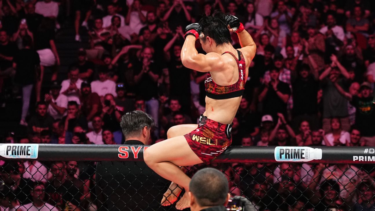 们带来了一 们带来了一